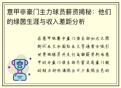 意甲非豪门主力球员薪资揭秘：他们的绿茵生涯与收入差距分析